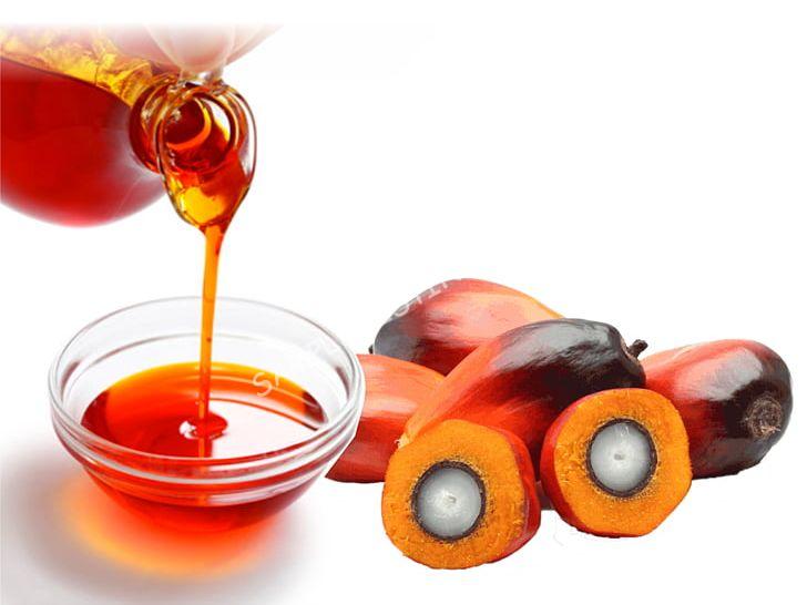 Pure Guinea Bissau Palm Oil