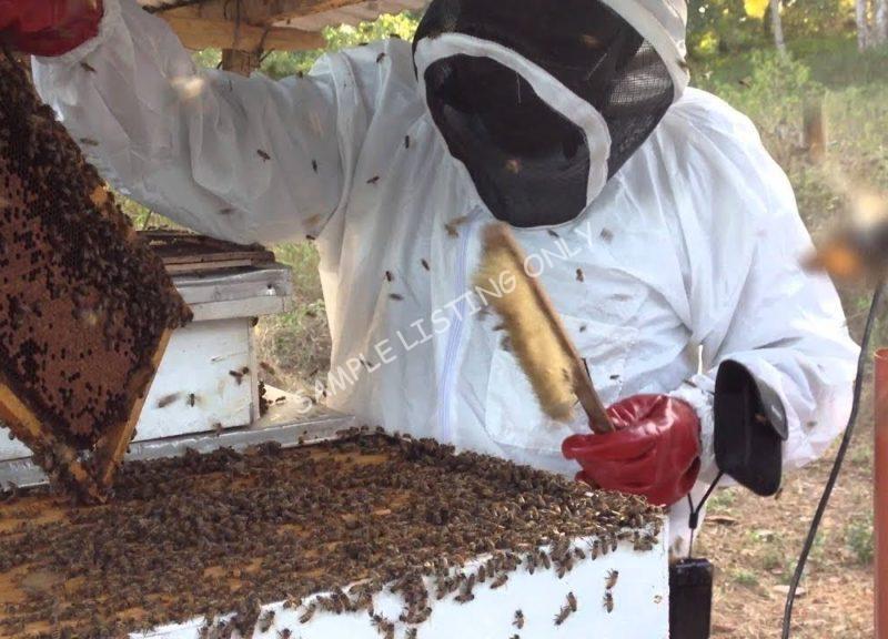 Sweet Guinea Bissau Honey
